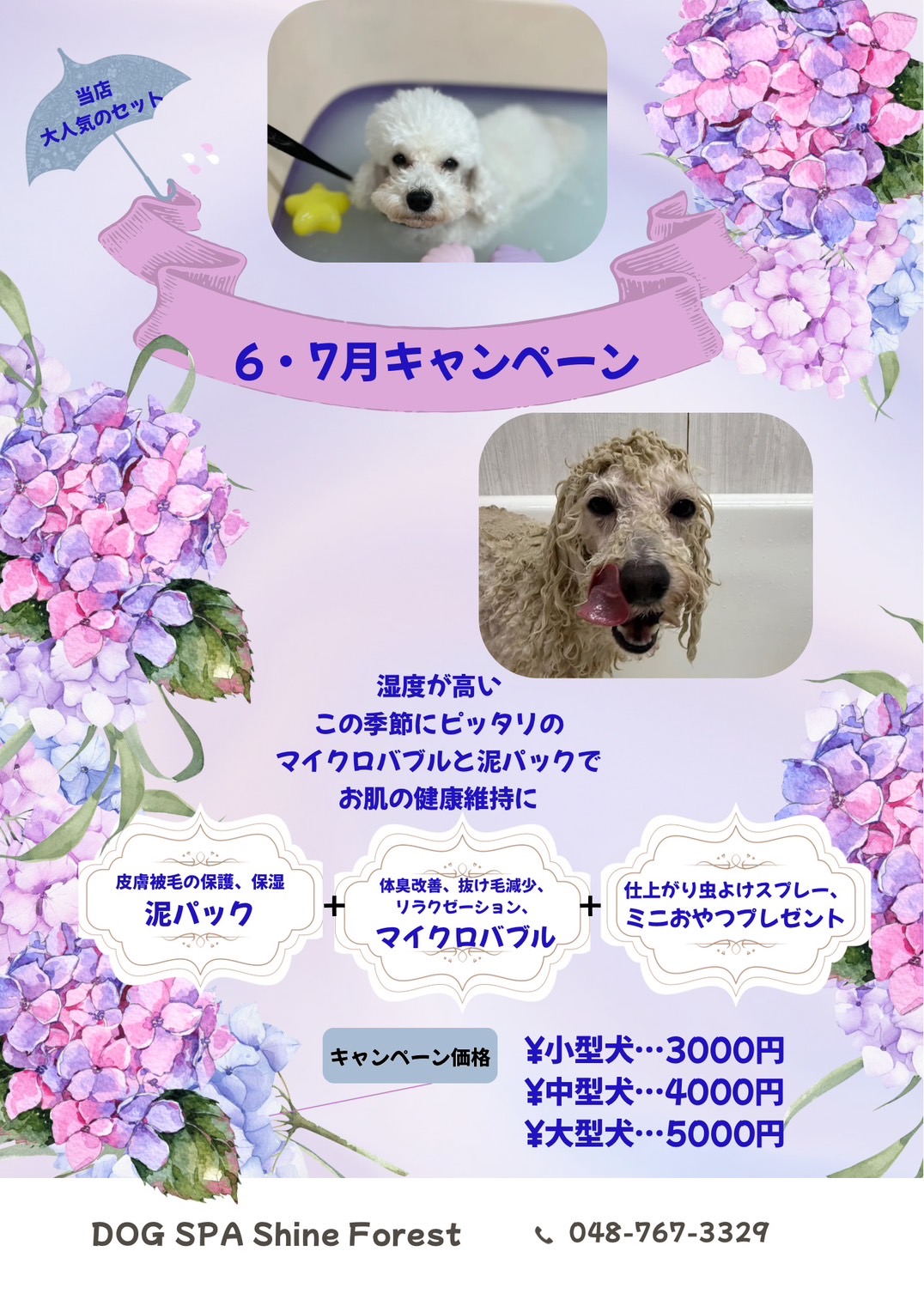 キャンペーン画像