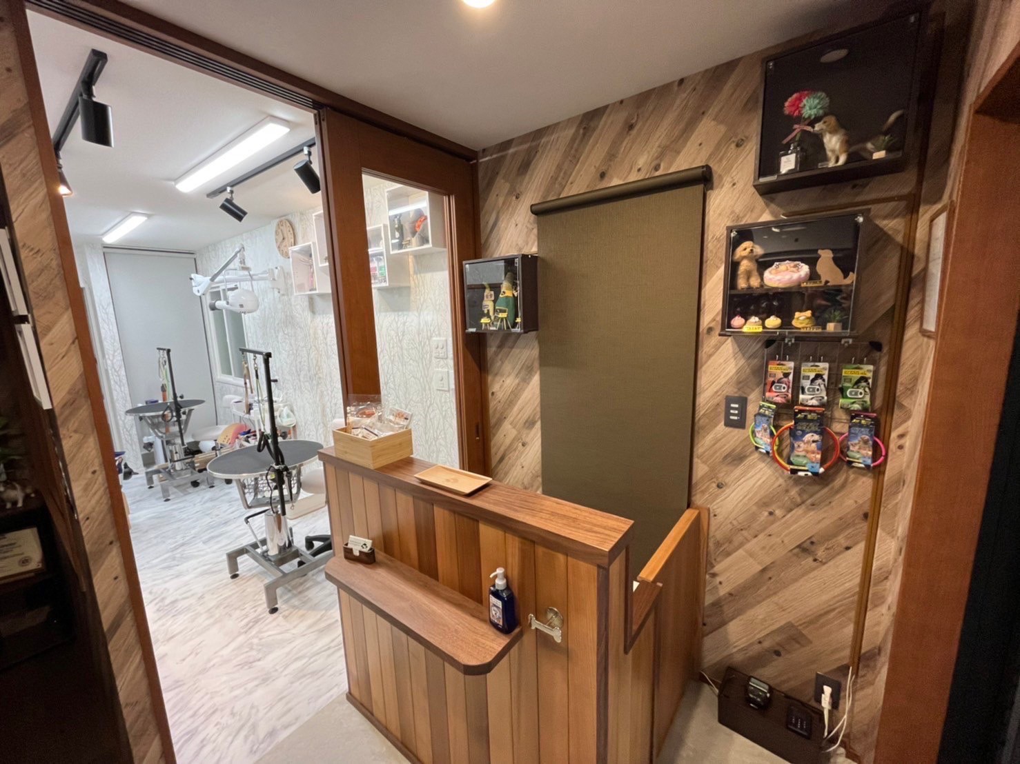 DOG SPA Shine Forest