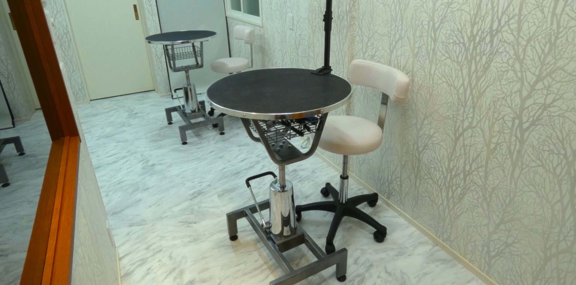 DOG SPA Shine Forest