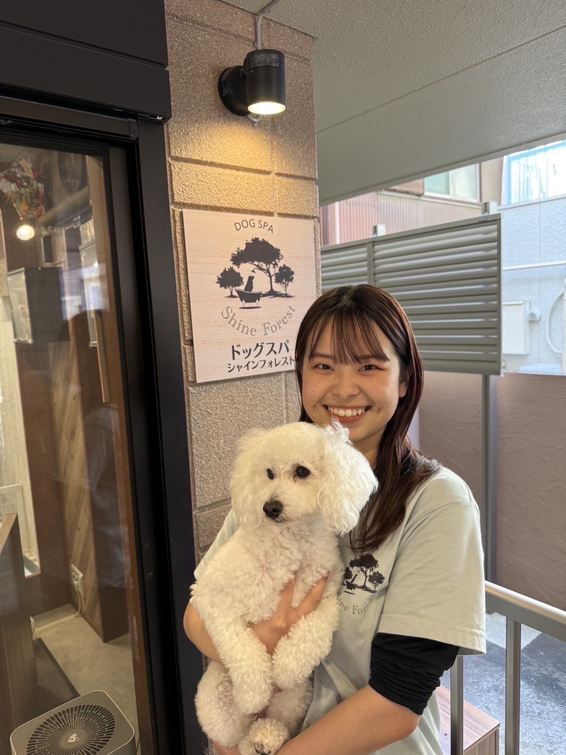 スタッフ